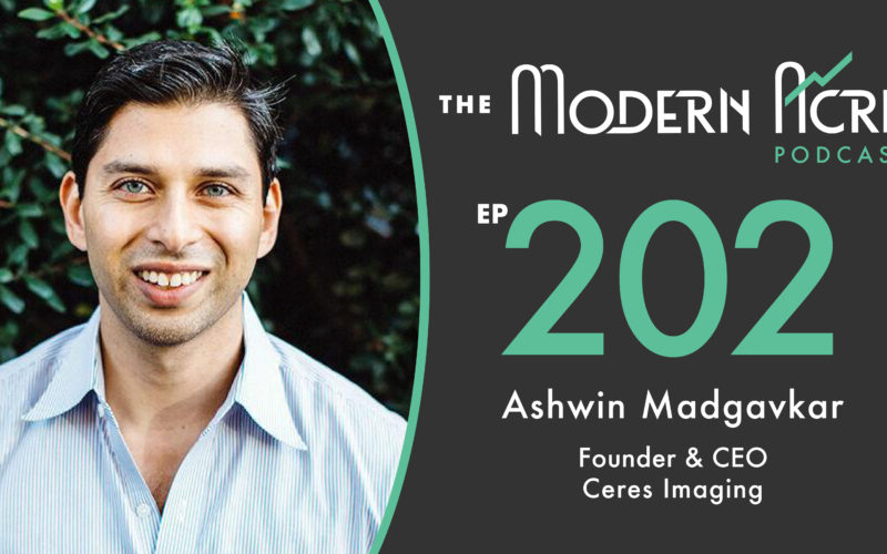 Ashwin Madgavkar