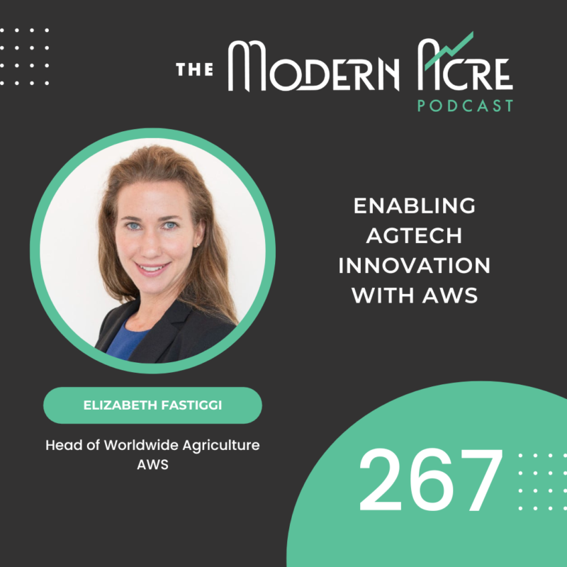 Elizabeth Fastiggi – The Modern Acre